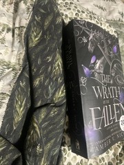 The Wrath of the Fallen Paperback by Amber V Nicole