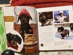 CRUSOE, THE WORDLY WIENER DOG, DACHSHUND, EXC. COND,230 PAGES/ FREE POSTAGE!!!!!