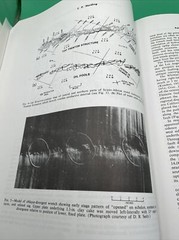 Treatise of Petroleum Geology Ser.: Traps and Seals : Stratigraphy-Capillary…