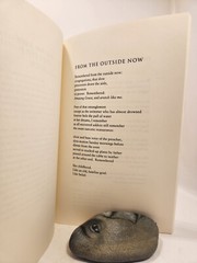 SIGNED 1st edition / Long Way Home: Poems by Pat Schneider / 1993 Softcover