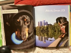CRUSOE, THE WORDLY WIENER DOG, DACHSHUND, EXC. COND,230 PAGES/ FREE POSTAGE!!!!!