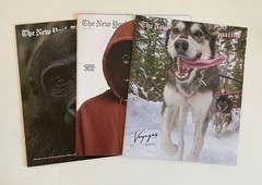 Lot 3 THE NEW YORK TIMES Magazine Book March 15 + 22 + 29, 2026