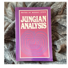 Open Court Jungian Analysis Murray Stein Paperback Psychology Nonfiction Book