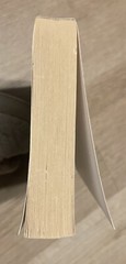 The Mother-in-Law: A Novel – Paperback By Hepworth, Sally – VERY GOOD