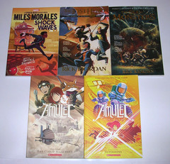 Lot 16 Graphic Novels for Kids BOYS Interest: DC Marvel Amulet Wings of Fire