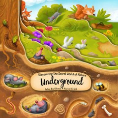 Discovering the Secret World of Nature Underground (Happy Fox Books) Boar – GOOD