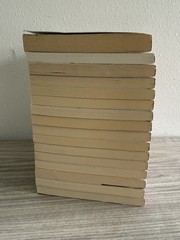 WHATEVER AFTER Children Books Series by Sarah Mlynowski Vol 1-15 + Bonus Book