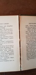 The Wilderness Campers by James C. Hodgins 1921 Canadian 265 pages Hardcover