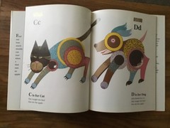 Crazy Alphabet by Lynn Cox (Hardcover)