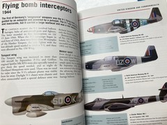 WWII Allied Fighter Aircraft 1939-45 P51 Mustang P38 Spitfire ThunderboltWildcat