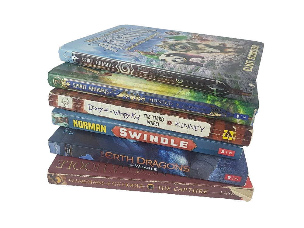 Lot of 6 SCHOOLASTIC books, Good CONDITION Paperback 6-12 YO Social Studies The