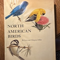 North American Birds Lorus & Margery Milne HC Illustrated Prentice-Hall
