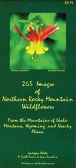 265 Images of Northern Rocky Mountain Wildflowers: From the Mountains of Montan