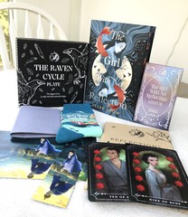 FairyLoot August 2024 YA Full Box: The Girl With No Reflection~Keshe Chow