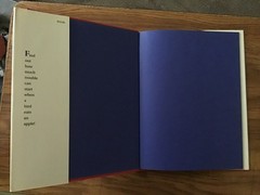 Crazy Alphabet by Lynn Cox (Hardcover)