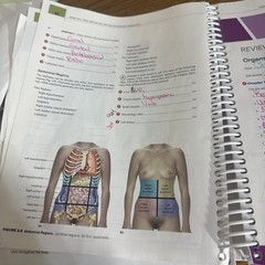 Anatomy & Physiology Laboratory Manual 10th Edition For Saladin Eric Wise