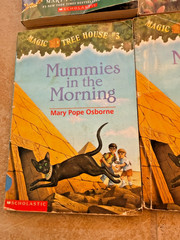 Lot of 24 Magic Treehouse books by Mary Pope Osborne Classroom owned