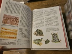 1986 Funk And Wagnalls New Encyclopedia Of Science 22 Volumes COMPLETE Set