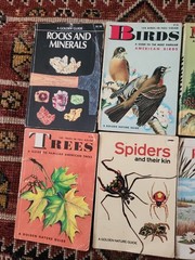 Vintage 60s 70s LOT of 8 – Golden Guide/Golden Press Books Nature Regional