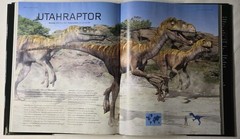 Dinosaurs by Steve Brusatte 2010 Quercus Publishing Large Illustration Book