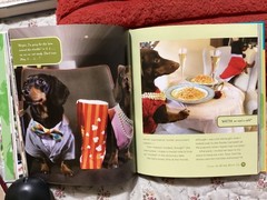 CRUSOE, THE WORDLY WIENER DOG, DACHSHUND, EXC. COND,230 PAGES/ FREE POSTAGE!!!!!
