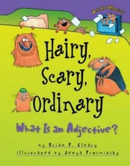 Hairy, Scary, Ordinary: What Is an Adjective? (Words Are Categorical) – GOOD