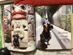 CRUSOE, THE WORDLY WIENER DOG, DACHSHUND, EXC. COND,230 PAGES/ FREE POSTAGE!!!!!