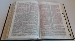 KJV Scofield Reference Study Bible System Concordance Thumb Indexed Oxford 291RL