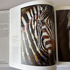 Artists for Conservation 2019 International Exhibit Nature in Art HC 1st Ed Book