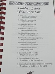 PLEASURES FROM THE GOOD EARTH COOKBOOK ST PETER ‘S CATHOLIC 132 PAGES