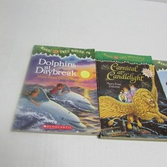 Magic Tree House Lot of 3 Books Hawaii Dolphins Carnival Mary Pope Osborne