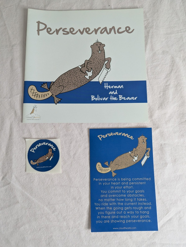 Home School Teachers Cloud 9 world character book PERSEVERANCE 2nd-5th kit