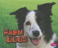 Farm Dogs (Farm Animals) – ACCEPTABLE
