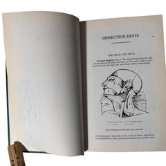 The Concise Grays Anatomy Book by C.H. Leonard AM MD Chartwell Books 1983 Omega