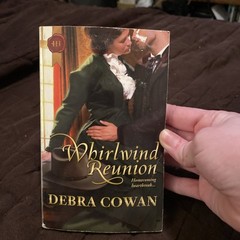 Whirlwind Reunion Novel Written By Debra Cowan Paperback 282 Pages