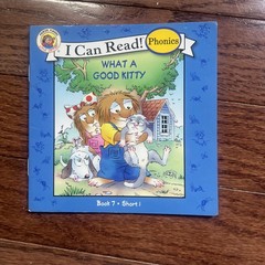 Lot of 20 Childrens Leveled Paperbacks I Can Read Level 1 Paddington Pete Cat