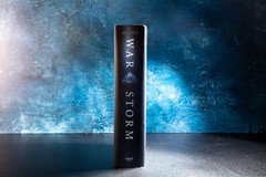 War Storm by Victoria Aveyard (2018, Hardcover)