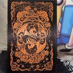 Skyshade: Collector’s Edition Lightlark Saga 3 slight damage see photos