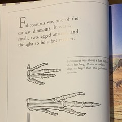 An Alphabet of Dinosaurs Peter Dodson HC Illustrated Wayne Barlowe Scholastic