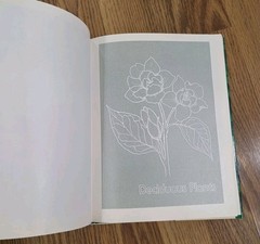 Dwarf Shrubs For The Midwest By Keith And Giles University Of Illinois Press