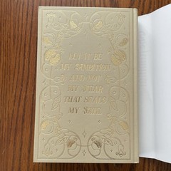 Fairyloot The Familiar Leigh Bardugo