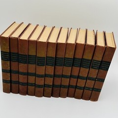 Universal Standard Encyclopedia Complete Set Volumes 2-25 (FC79-4-R)