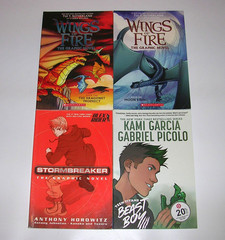 Lot 16 Graphic Novels for Kids BOYS Interest: DC Marvel Amulet Wings of Fire