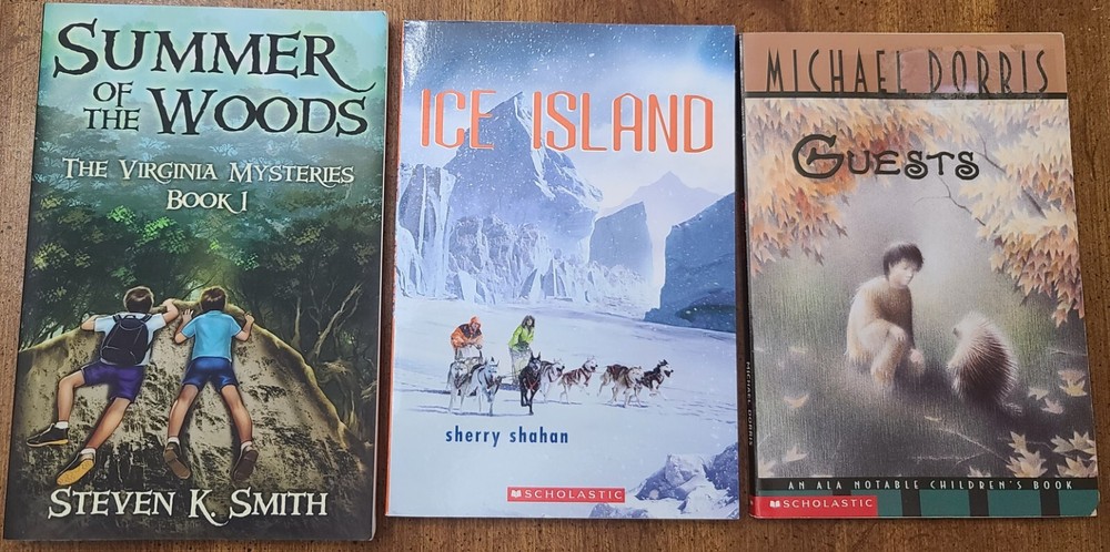 Chapter Books for Boys Lot of 3