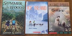 Chapter Books for Boys Lot of 3
