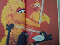 1983 “The Sesame Street Treasury” 15 Volume Complete Set
