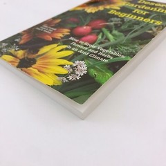 Desert Gardening for Beginners Cathy Cromell Good Paperback