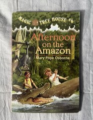 Lot of 16 The MAGIC TREE HOUSE Series 14 pb, 2 Hardcover