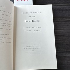 George F. Oster (u. a.) | Caste and Ecology in the Social Insects