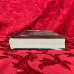 Alexis Lampley- PRIDE AND PREJUDICE IN SPACE (Hardbound) Union Square Publishing